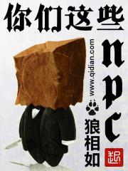你们这些小信的人啊的经文
