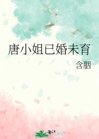 唐小姐已婚未育含胭免费阅读搁笔趣