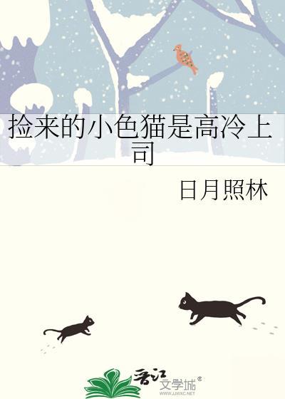 捡来的小野猫又甜又软
