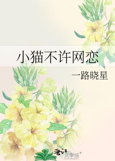 小猫不让我玩手机