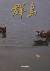 群鸟的结局