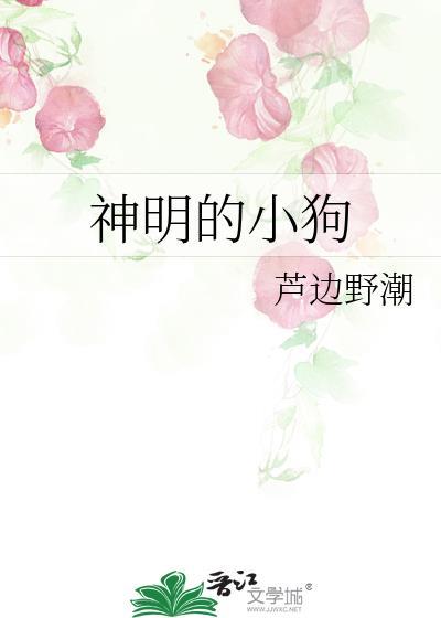 神明的宠儿全文阅读