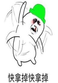 满朝文武皆绿你作者程缨