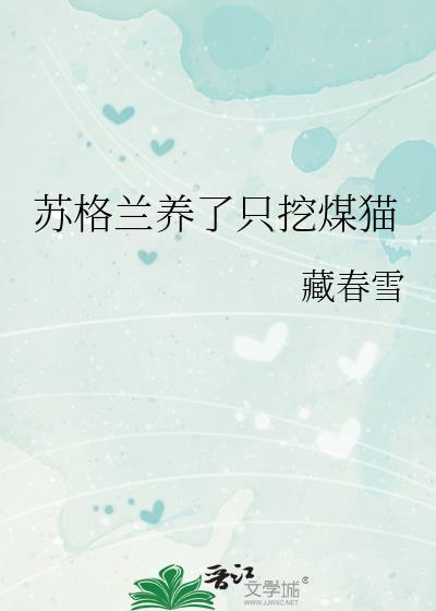 苏格兰猫多少钱一只