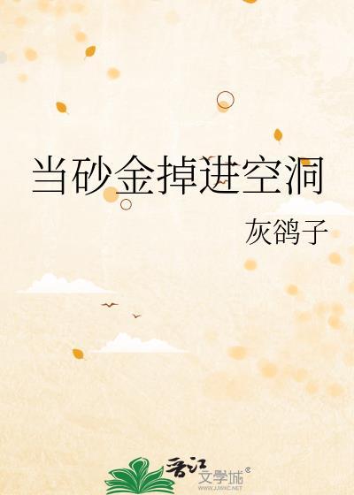 当砂金掉进空洞灰鸽TXT免费阅读