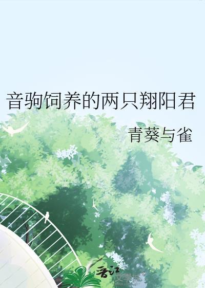 音驹饲养的两只翔阳君免费阅读