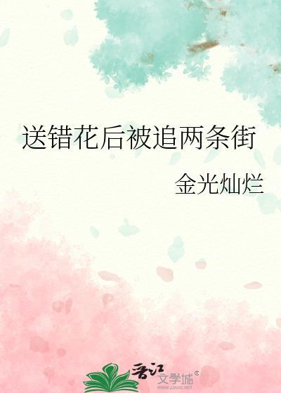 送错花后被追两条街晋江