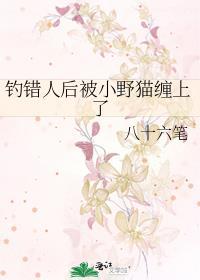 乖媳妇百度百科