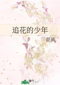 追求的少年