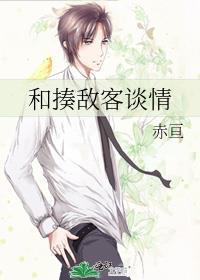 有关揍敌客的