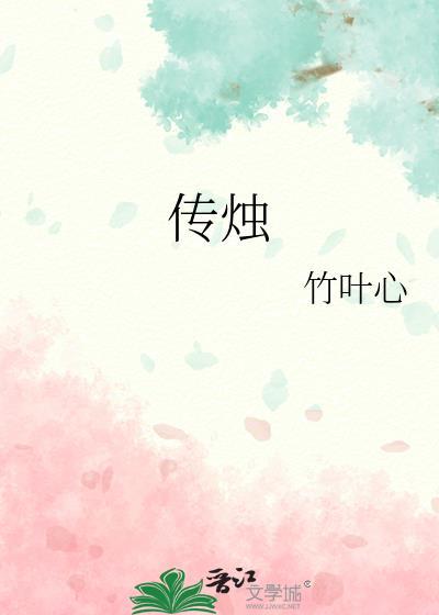 传烛txt
