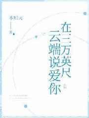 在三万英尺云端说爱你顾苒傅言律