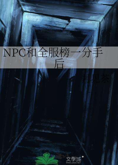 npc和全服榜一分手后