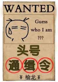 头号通缉令by榆龙