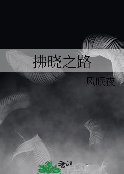 拂晓之路txt