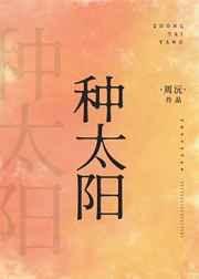 种太阳是什么意思