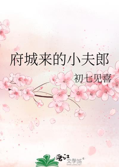 府城来的小夫郎免费阅读