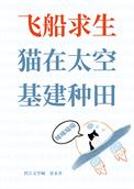 太空飞船上的猫