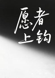愿者上钩(gl)