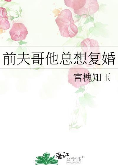 前夫哥他总想复婚怎么办