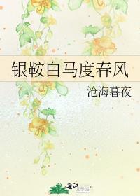 银鞍白马度春风TXT