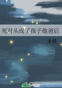 死对头成了孩子他爸后作者禾枝