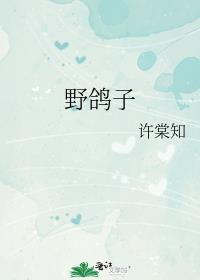 野鸽子进家有什么预兆
