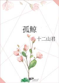 孤鲸讲的什么