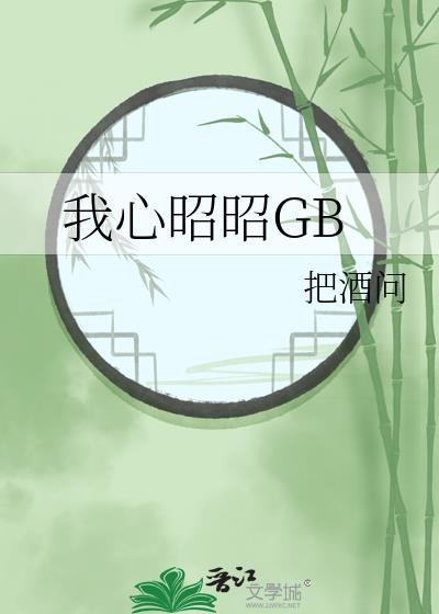 我心昭昭顾长安完整版