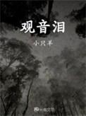 观音泪贝壳作用是什么