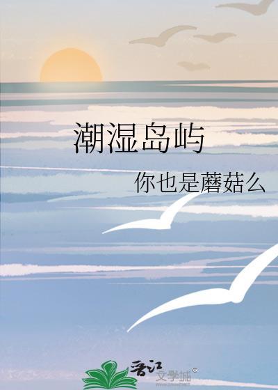 潮湿沙滩升级台