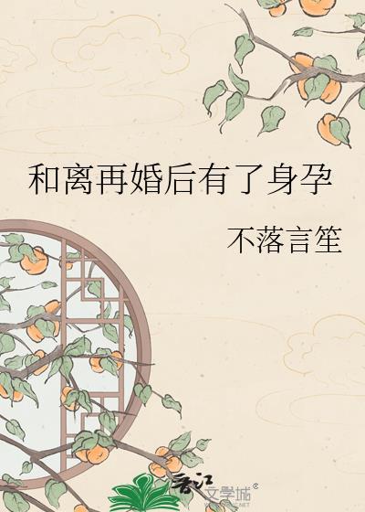 离异后再婚生小孩算几胎