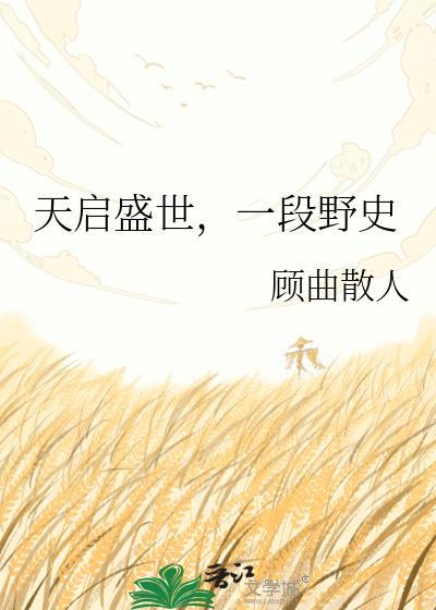 天启goc