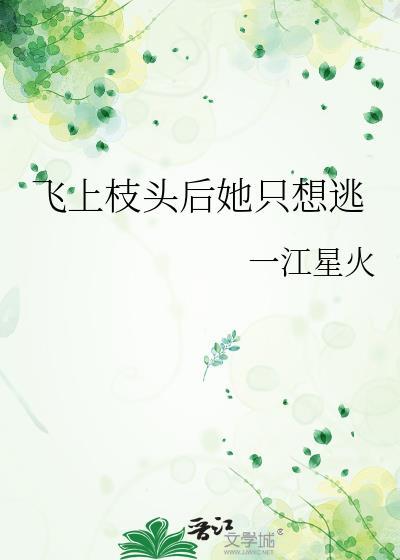 飞上枝头现代言情