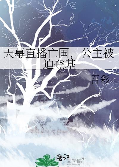 天幕公会老板