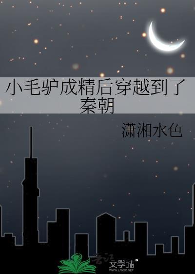 小毛驴