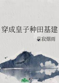 穿成皇子的玄幻