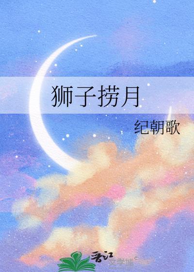 狮子捞月纪朝歌免费阅读无弹窗