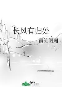 长风有归处有车吗