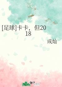足球卡卡是哪个球队的