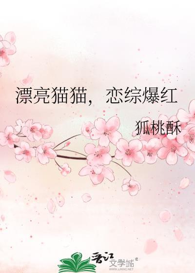 漂亮猫咪图片大全可爱 手机壁纸