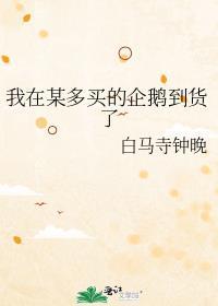 在哪里能买到企鹅