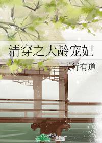 清穿大龄宠妃天道