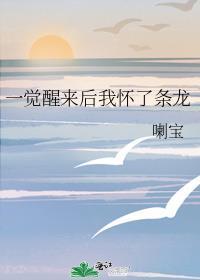一觉醒来我怀孕了(穿越)——噤若寒单