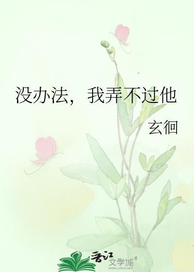 我也没办法了