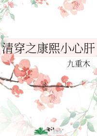 清穿之康熙同人文