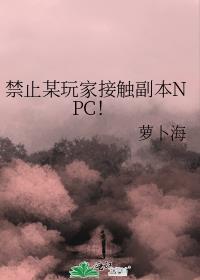 禁止某玩家接触副本NPC! 免费阅读