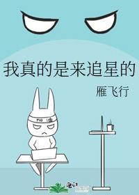 追星我是认真的![重生