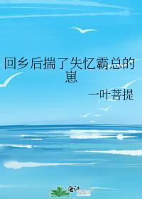 回乡后揣了失忆霸总的崽by一叶菩提