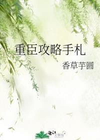 重臣攻略手册百度